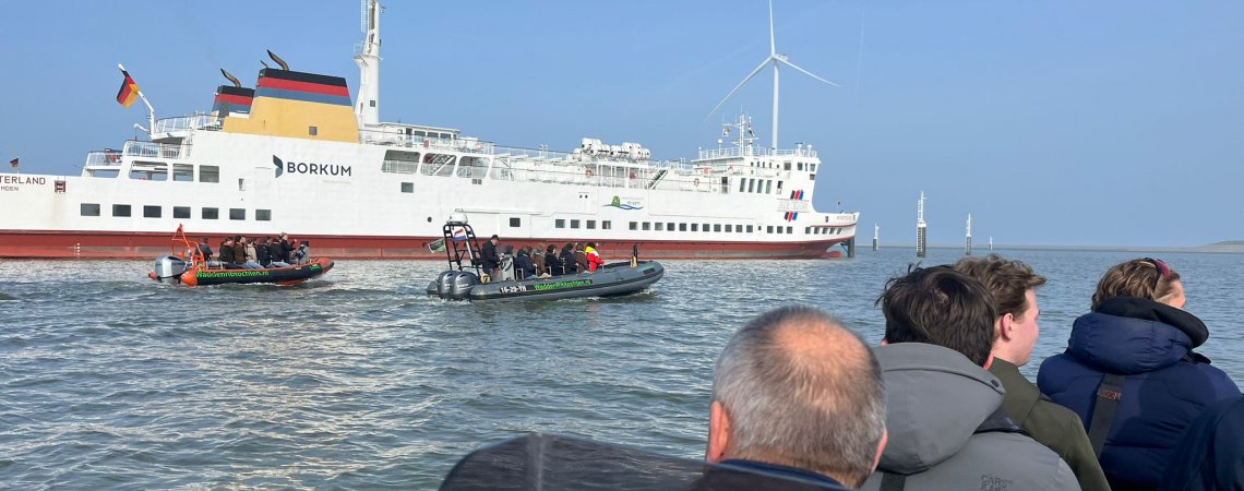 Zeehonden spotten op de waddenzee