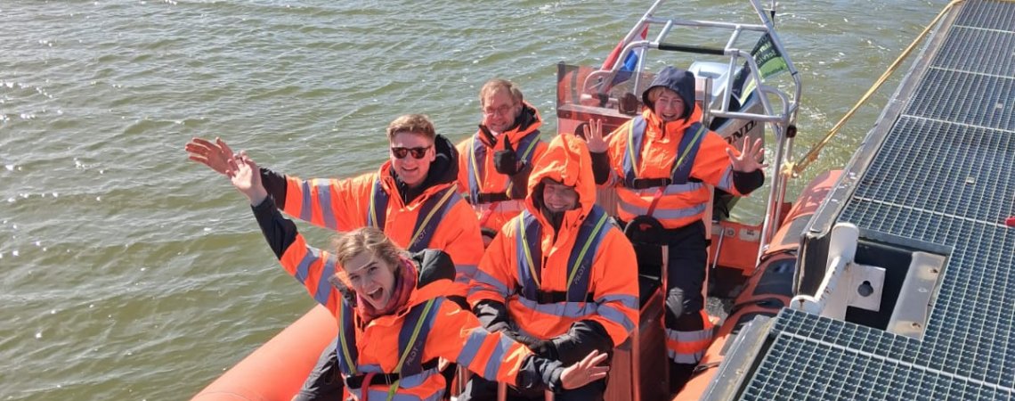 Zeehonden spotten op de waddenzee