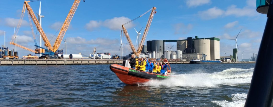 Zeehonden spotten op de waddenzee