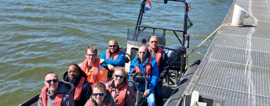 Zeehonden spotten op de waddenzee