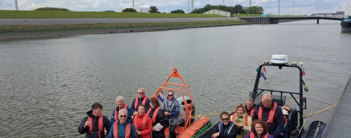 Zeehonden spotten op de waddenzee