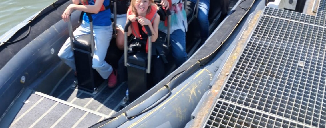 Zeehonden spotten op de waddenzee