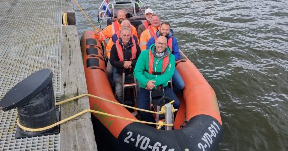 Zeehonden spotten op de waddenzee