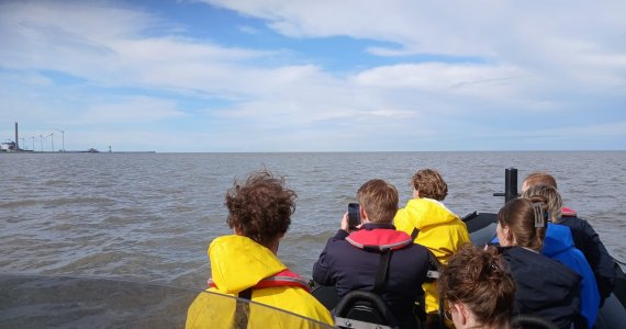 wadden - zee - zon