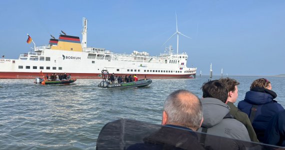 Zeehonden spotten op de waddenzee