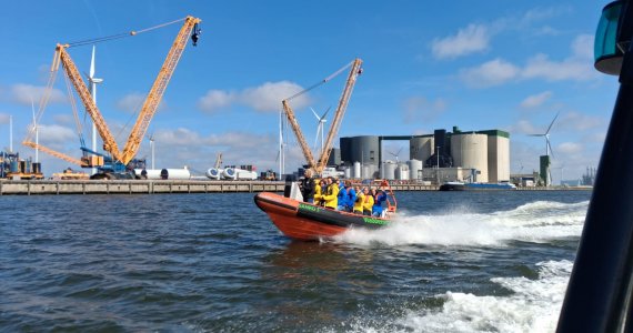 Zeehonden spotten op de waddenzee