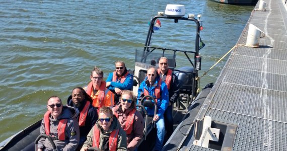 Zeehonden spotten op de waddenzee