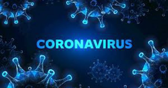 waddenzee - coronavirus - corona - zeehonden - rib varen