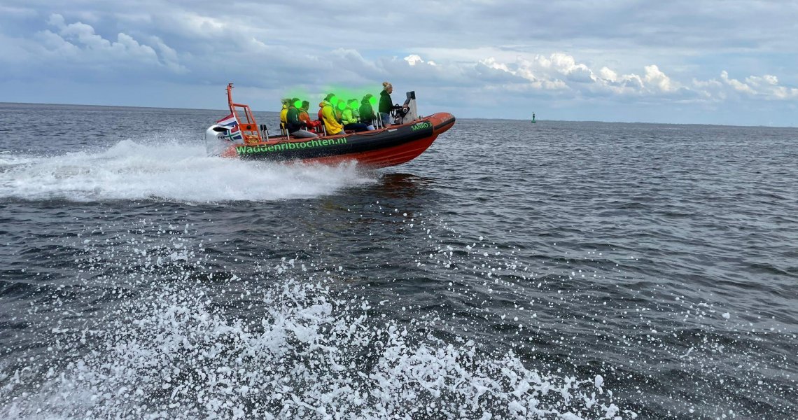 varen - wadden - zeehonden - Eemshaven