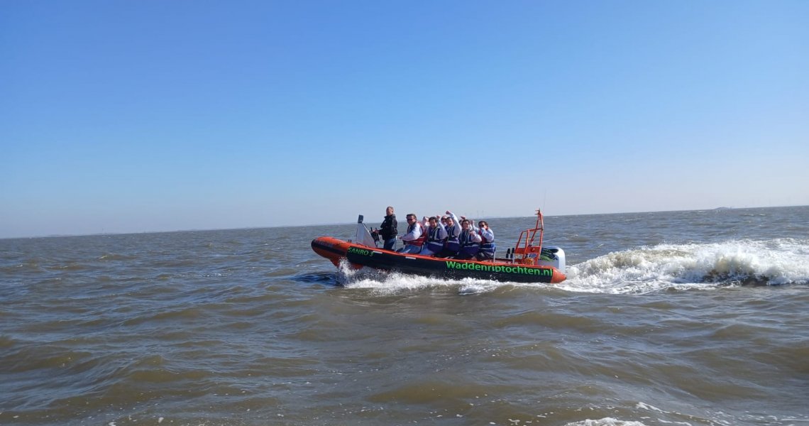 Wadden - Zee - zeehonden