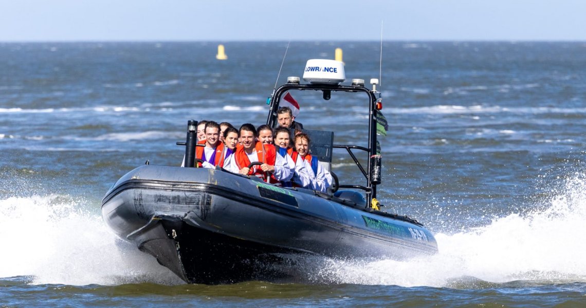 Wadden - Zee - zeehonden