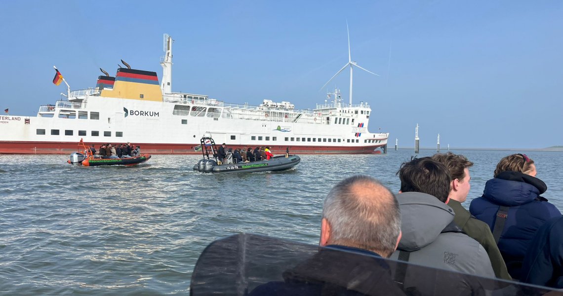 Zeehonden spotten op de waddenzee