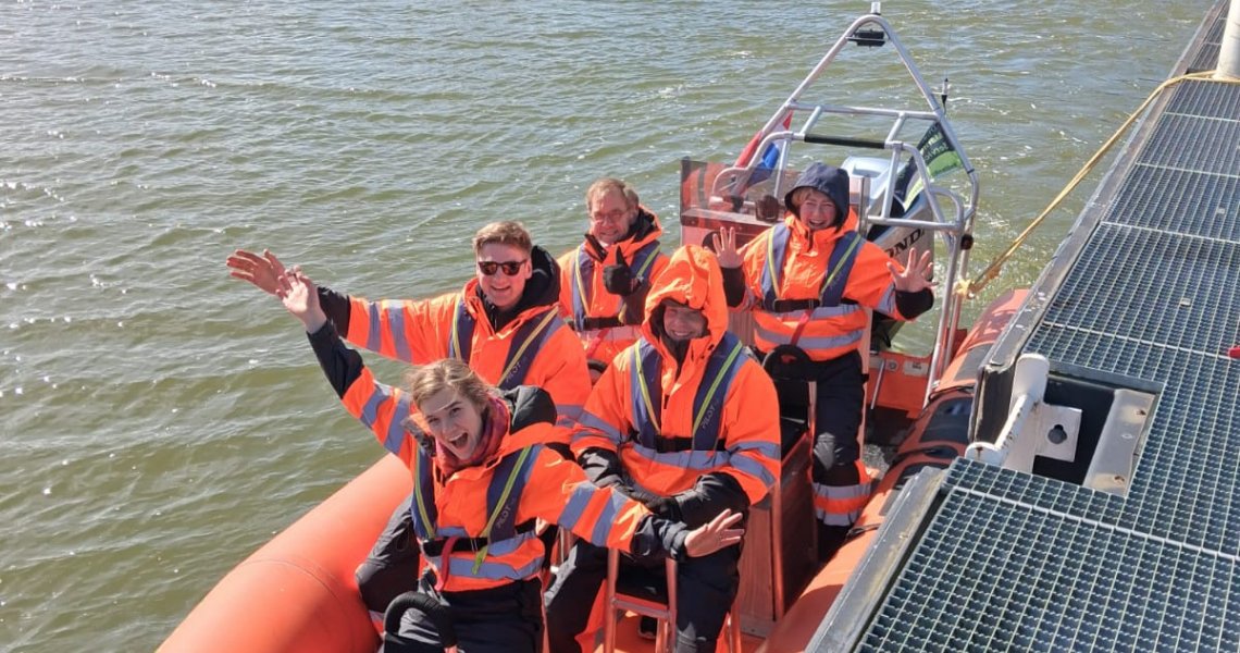 Zeehonden spotten op de waddenzee
