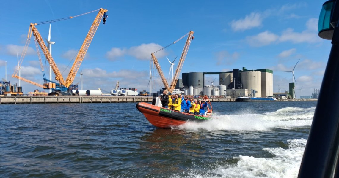 Zeehonden spotten op de waddenzee