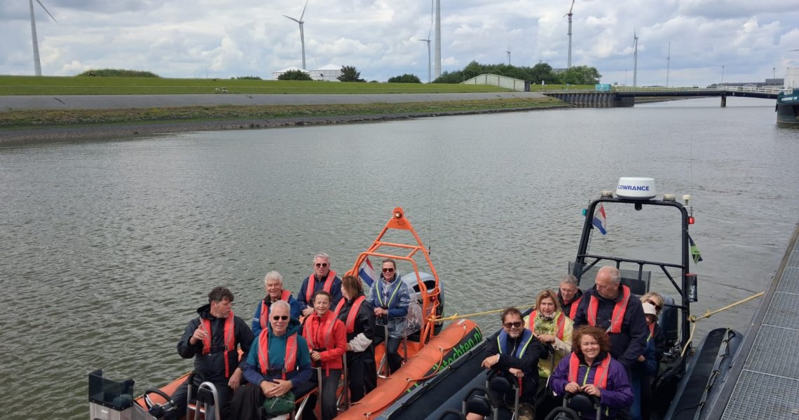 Zeehonden spotten op de waddenzee