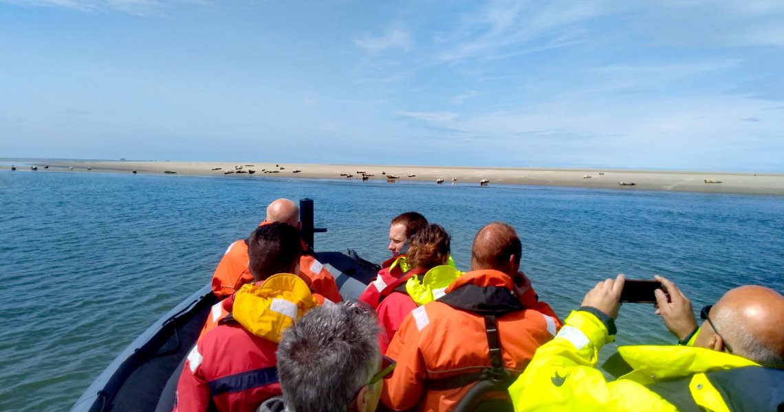 Zeeman - zeehonden - spotten - wadlopen 