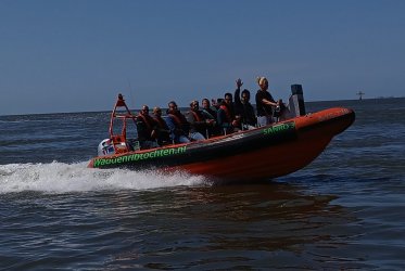 zeehonden - zon - strand