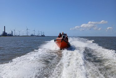 zeehonden - zon - strand