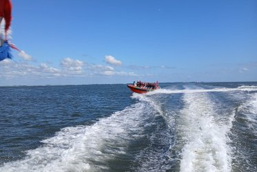 bedrijfsuitje - gezellig - waddenzee