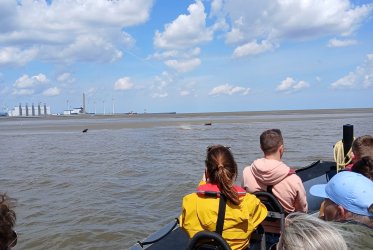 Borkum - zon - zee