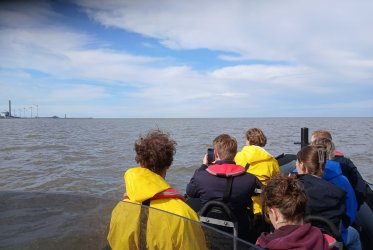 zeehonden - zon - strand