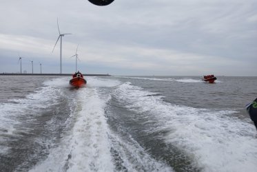 Zeehonden spotten - genieten - pakken aan