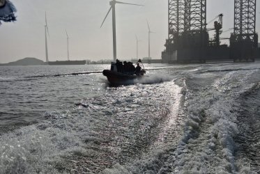 Zeehonden spotten - genieten - pakken aan