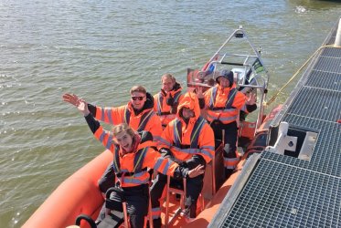 zeehonden - zon - strand