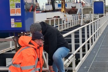 Varen op het wad - rust en ruimte bij het zeehonden spotten - Groningen - Waddentochten