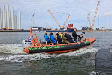 zeehonden - zon - strand