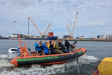 Zeehonden spotten - genieten - pakken aan