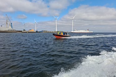 Zeehonden spotten - genieten - pakken aan