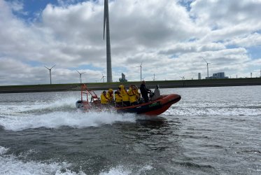 Zeehonden spotten - Waddenzee - Waddentochten - Groningen