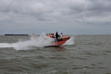 RIB varen