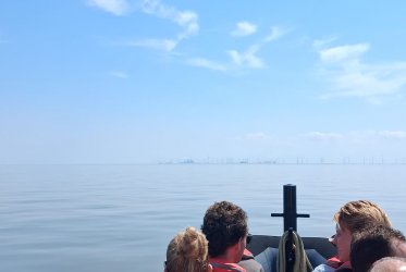 zeehonden - zon - strand