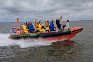 Zeehonden spotten - Waddenzee - Waddentochten - Groningen