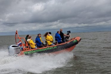 Varen op het wad - rust en ruimte bij het zeehonden spotten - Groningen - Waddentochten