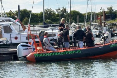 Zeehonden spotten - genieten - pakken aan