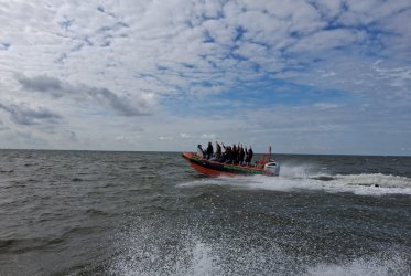 Varen op het wad - rust en ruimte bij het zeehonden spotten - Groningen - Waddentochten